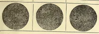 Picture 8 of 12 from In laudem operis kalendarij. s. huius Johanne de Monte Regio editi Germano[rum] decoris nostrae aetatis astronomoru[m] principis Jacobi Sontini Ricinensis Carmina, leaf 43