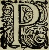 An illustration from Inleyding tot de hooge schoole der schilderkonst: anders de zichtbaere werelt. : verdeelt in negen leerwinkels, yder bestiert door eene der zanggodinnen. Ten hoogsten noodzakelijk, tot onderwijs, voor alle die deeze edele, vrye, en hooge konst oeffenen, of met yver zoeken te leeren, of anders eenigzins beminnen. (1678)