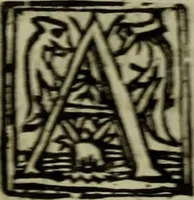 An illustration from Inleyding tot de hooge schoole der schilderkonst: anders de zichtbaere werelt. : verdeelt in negen leerwinkels, yder bestiert door eene der zanggodinnen. Ten hoogsten noodzakelijk, tot onderwijs, voor alle die deeze edele, vrye, en hooge konst oeffenen, of met yver zoeken te leeren, of anders eenigzins beminnen. (1678)