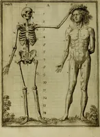 An illustration from Inleyding tot de hooge schoole der schilderkonst: anders de zichtbaere werelt. : verdeelt in negen leerwinkels, yder bestiert door eene der zanggodinnen. Ten hoogsten noodzakelijk, tot onderwijs, voor alle die deeze edele, vrye, en hooge konst oeffenen, of met yver zoeken te leeren, of anders eenigzins beminnen. (1678)