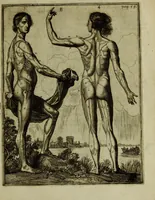 An illustration from Inleyding tot de hooge schoole der schilderkonst: anders de zichtbaere werelt. : verdeelt in negen leerwinkels, yder bestiert door eene der zanggodinnen. Ten hoogsten noodzakelijk, tot onderwijs, voor alle die deeze edele, vrye, en hooge konst oeffenen, of met yver zoeken te leeren, of anders eenigzins beminnen. (1678)