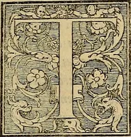 Picture 3 of 52 from Inlvstrivm viror vt extant in vrbe expressi vvltvs (1569), leaf 10