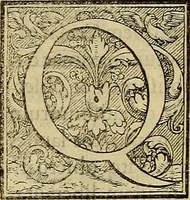 Picture 2 of 52 from Inlvstrivm viror vt extant in vrbe expressi vvltvs (1569), leaf 8
