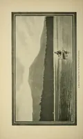 An illustration from In the Maine woods (1904)