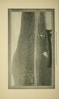 An illustration from In the Maine woods (1904)