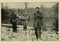 An illustration from In the Maine woods (1904)