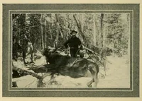 An illustration from In the Maine woods (1904)