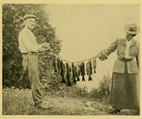 An illustration from In the Maine woods (1905)