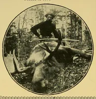 An illustration from In the Maine woods (1905)