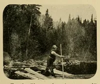 Picture 5 of 17 from In the Maine woods (1908), leaf 63