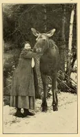 Picture 1 of 19 from In the Maine woods (1909), leaf 15