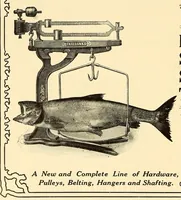 Picture 19 of 19 from In the Maine woods (1909), leaf 166