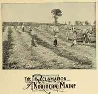 Picture 10 of 19 from In the Maine woods (1909), leaf 99