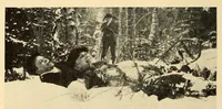Picture 12 of 18 from In the Maine woods (1910), leaf 120