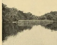 Picture 9 of 18 from In the Maine woods (1910), leaf 84