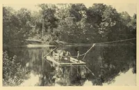 Picture 10 of 18 from In the Maine woods (1910), leaf 92