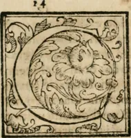An illustration from Dispareri in materia d'architettvra, et perspettiva : con pareri di eccellenti, et famosi architetti, che li risoluono (1572)