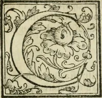 An illustration from Dispareri in materia d'architettvra, et perspettiva : con pareri di eccellenti, et famosi architetti, che li risoluono (1572)