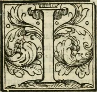 An illustration from Dispareri in materia d'architettvra, et perspettiva : con pareri di eccellenti, et famosi architetti, che li risoluono (1572)