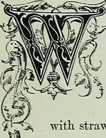 An illustration from The arts in the middle ages, and at the period of the Renaissance (1875)
