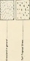An illustration from Military sketching and map reading; including panoramic sketching and aerial photography (1921)