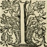 An illustration from Innocentia vindicata : in qua gravissimis argumentis ex S. Thoma petitis ostenditur, angelicum doctorem pro Immaculato Conceptu Deiparae sensisse & scripsisse ... (1695)