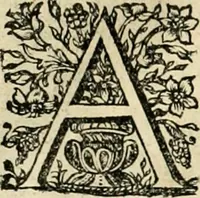 An illustration from Innocentia vindicata : in qua gravissimis argumentis ex S. Thoma petitis ostenditur, angelicum doctorem pro Immaculato Conceptu Deiparae sensisse & scripsisse ... (1695)