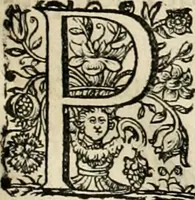 An illustration from Innocentia vindicata : in qua gravissimis argumentis ex S. Thoma petitis ostenditur, angelicum doctorem pro Immaculato Conceptu Deiparae sensisse & scripsisse ... (1695)