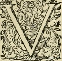 An illustration from Innocentia vindicata : in qua gravissimis argumentis ex S. Thoma petitis ostenditur, angelicum doctorem pro Immaculato Conceptu Deiparae sensisse & scripsisse ... (1695)