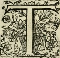 An illustration from Innocentia vindicata : in qua gravissimis argumentis ex S. Thoma petitis ostenditur, angelicum doctorem pro Immaculato Conceptu Deiparae sensisse & scripsisse ... (1695)