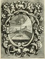 An illustration from Innocentia vindicata : in qua gravissimis argumentis ex S. Thoma petitis ostenditur, angelicum doctorem pro Immaculato Conceptu Deiparae sensisse & scripsisse ... (1695)