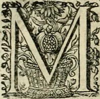 An illustration from Innocentia vindicata : in qua gravissimis argumentis ex S. Thoma petitis ostenditur, angelicum doctorem pro Immaculato Conceptu Deiparae sensisse & scripsisse ... (1695)
