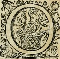 Picture 45 of 132 from Innocentia vindicata : in qua gravissimis argumentis ex S. Thoma petitis ostenditur, angelicum doctorem pro Immaculato Conceptu Deiparae sensisse & scripsisse ... (1695), leaf 157