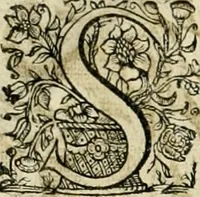 An illustration from Innocentia vindicata : in qua gravissimis argumentis ex S. Thoma petitis ostenditur, angelicum doctorem pro Immaculato Conceptu Deiparae sensisse & scripsisse ... (1695)