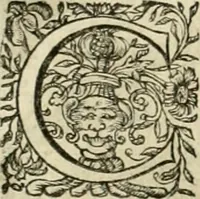 An illustration from Innocentia vindicata : in qua gravissimis argumentis ex S. Thoma petitis ostenditur, angelicum doctorem pro Immaculato Conceptu Deiparae sensisse & scripsisse ... (1695)