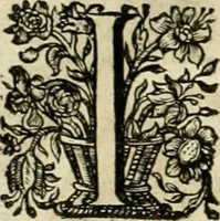An illustration from Innocentia vindicata : in qua gravissimis argumentis ex S. Thoma petitis ostenditur, angelicum doctorem pro Immaculato Conceptu Deiparae sensisse & scripsisse ... (1695)
