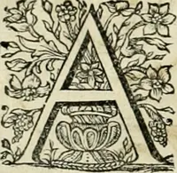 An illustration from Innocentia vindicata : in qua gravissimis argumentis ex S. Thoma petitis ostenditur, angelicum doctorem pro Immaculato Conceptu Deiparae sensisse & scripsisse ... (1695)