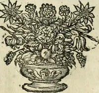 An illustration from Innocentia vindicata : in qua gravissimis argumentis ex S. Thoma petitis ostenditur, angelicum doctorem pro Immaculato Conceptu Deiparae sensisse & scripsisse ... (1695)
