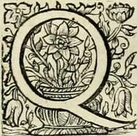 An illustration from Innocentia vindicata : in qua gravissimis argumentis ex S. Thoma petitis ostenditur, angelicum doctorem pro Immaculato Conceptu Deiparae sensisse & scripsisse ... (1695)