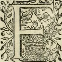 An illustration from Innocentia vindicata : in qua gravissimis argumentis ex S. Thoma petitis ostenditur, angelicum doctorem pro Immaculato Conceptu Deiparae sensisse & scripsisse ... (1695)