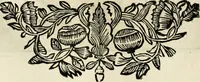 An illustration from Innocentia vindicata : in qua gravissimis argumentis ex S. Thoma petitis ostenditur, angelicum doctorem pro Immaculato Conceptu Deiparae sensisse & scripsisse ... (1695)