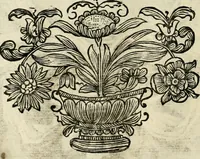 An illustration from Innocentia vindicata : in qua gravissimis argumentis ex S. Thoma petitis ostenditur, angelicum doctorem pro Immaculato Conceptu Deiparae sensisse & scripsisse ... (1695)