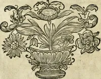 An illustration from Innocentia vindicata : in qua gravissimis argumentis ex S. Thoma petitis ostenditur, angelicum doctorem pro Immaculato Conceptu Deiparae sensisse & scripsisse ... (1695)