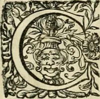 An illustration from Innocentia vindicata : in qua gravissimis argumentis ex S. Thoma petitis ostenditur, angelicum doctorem pro Immaculato Conceptu Deiparae sensisse & scripsisse ... (1695)
