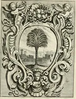 Picture 88 of 132 from Innocentia vindicata : in qua gravissimis argumentis ex S. Thoma petitis ostenditur, angelicum doctorem pro Immaculato Conceptu Deiparae sensisse & scripsisse ... (1695), leaf 190