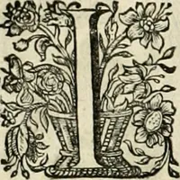 An illustration from Innocentia vindicata : in qua gravissimis argumentis ex S. Thoma petitis ostenditur, angelicum doctorem pro Immaculato Conceptu Deiparae sensisse & scripsisse ... (1695)