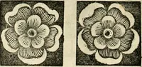 An illustration from Innocentia vindicata : in qua gravissimis argumentis ex S. Thoma petitis ostenditur, angelicum doctorem pro Immaculato Conceptu Deiparae sensisse & scripsisse ... (1695)