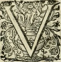 An illustration from Innocentia vindicata : in qua gravissimis argumentis ex S. Thoma petitis ostenditur, angelicum doctorem pro Immaculato Conceptu Deiparae sensisse & scripsisse ... (1695)