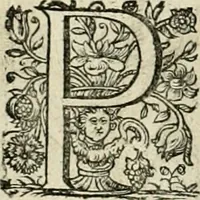 An illustration from Innocentia vindicata : in qua gravissimis argumentis ex S. Thoma petitis ostenditur, angelicum doctorem pro Immaculato Conceptu Deiparae sensisse & scripsisse ... (1695)