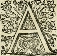 An illustration from Innocentia vindicata : in qua gravissimis argumentis ex S. Thoma petitis ostenditur, angelicum doctorem pro Immaculato Conceptu Deiparae sensisse & scripsisse ... (1695)